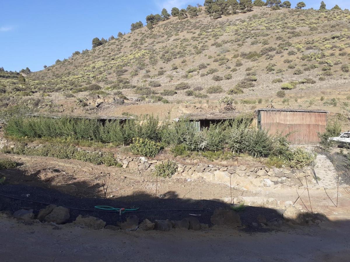 Casa Rural Los Santillos El Pinar  Екстер'єр фото